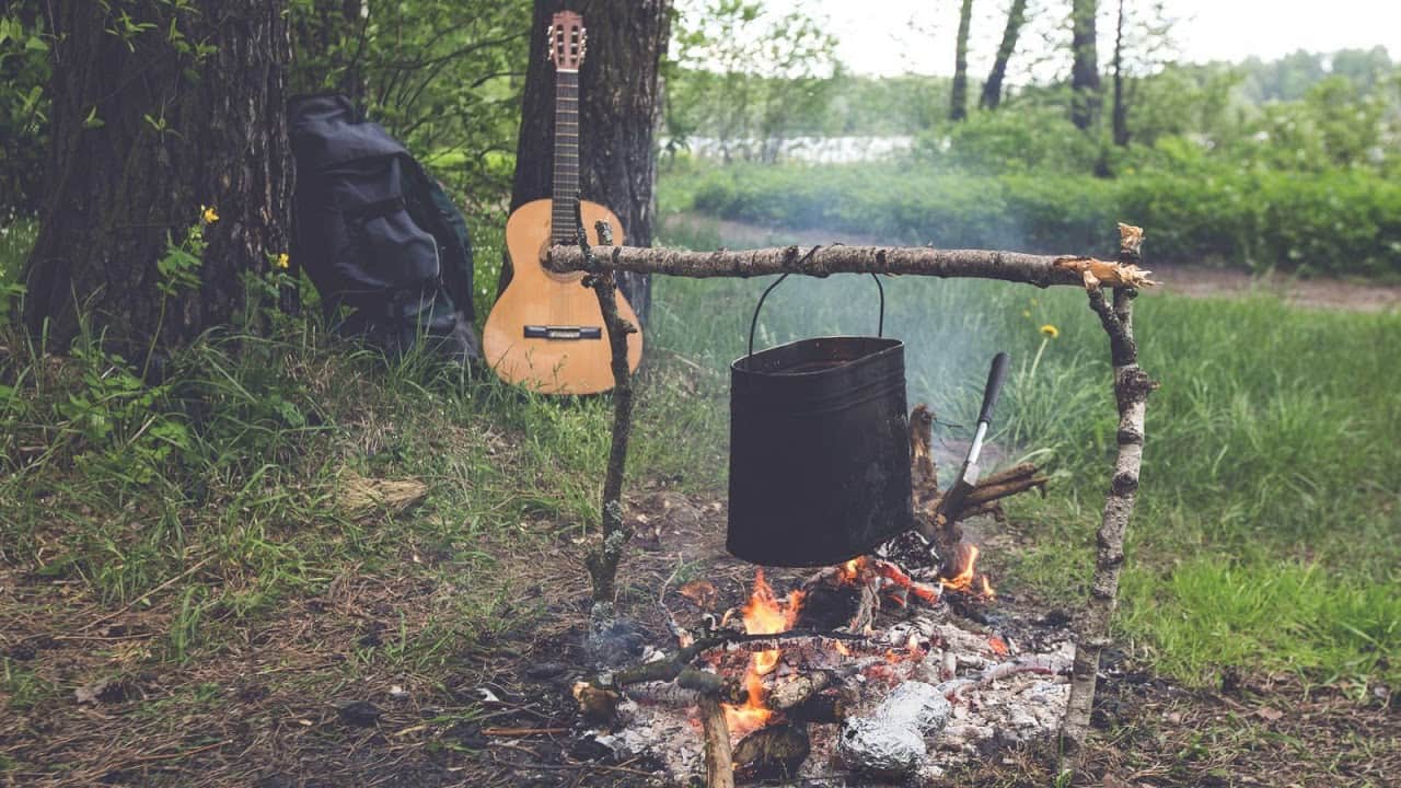 Лето в тайге